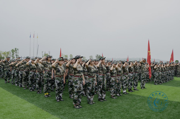 图片3 图片3